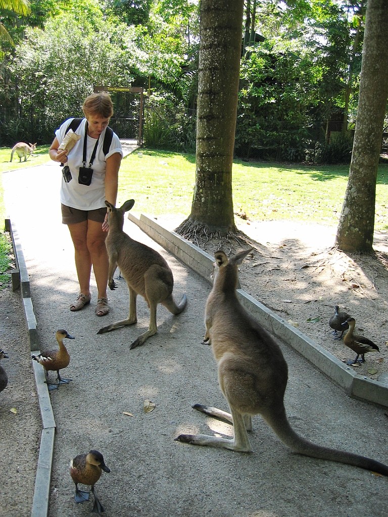 253 Wildlife Habitat Port Douglas.jpg